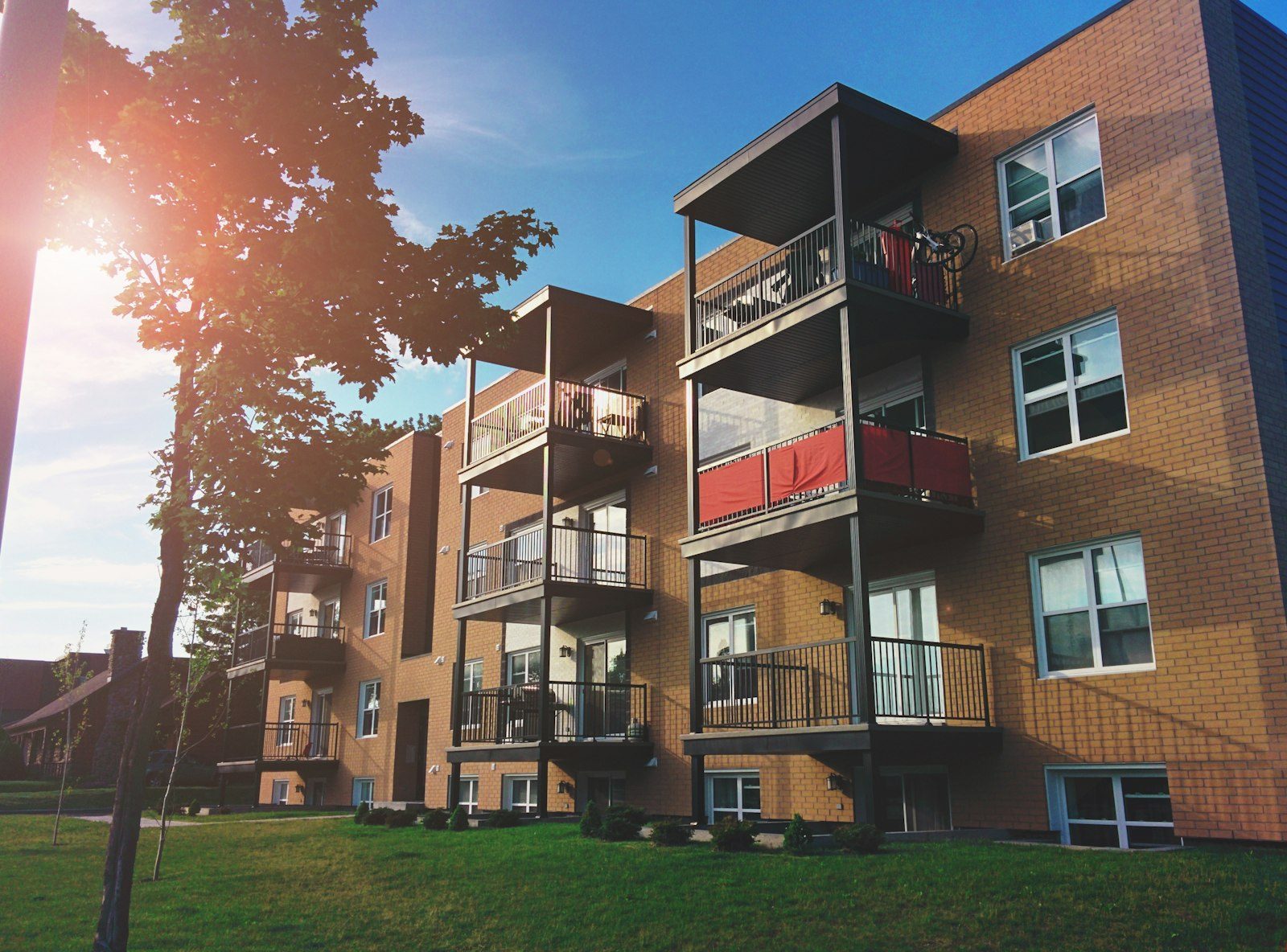 Building Renovation & Rehabilitation